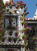 Patio, Córdoba