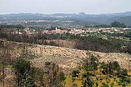 Penacova-06-Landschaft-2011-gje.jpg