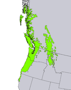 Representación digital del "Atlas of United States Trees" por Elbert L. Little, Jr.