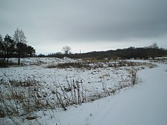 Winter. Western Bug - panoramio.jpg