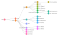 Clades Nextstrain, janvier 2022.