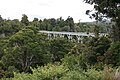 Percy Burn Viaduct, South Island, New Zealand (1923)