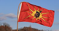 Mohawk Warrior Society flag at Beyond NoDAPL March on Washington, DC.