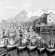 Fiskebåter i Henningsvær, före 1983.