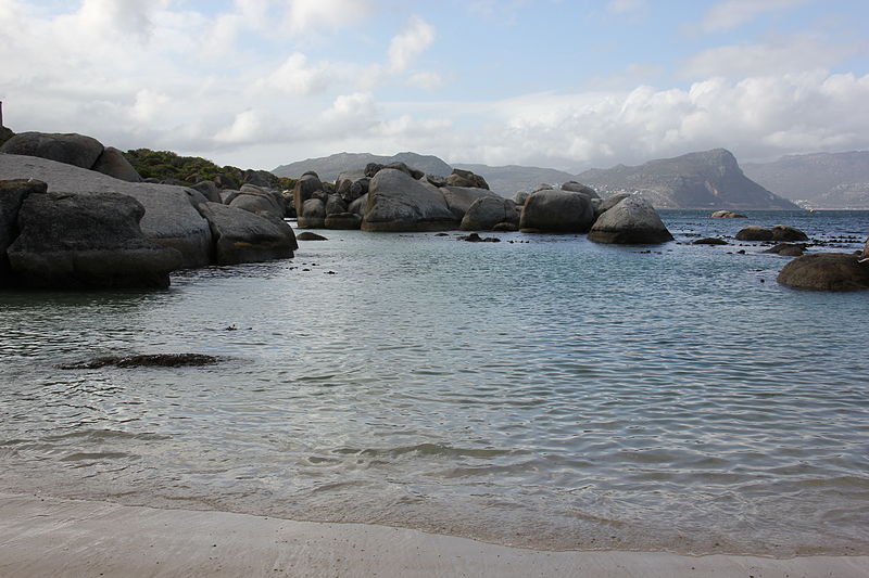 File:Laika ac Boulders Beach (8404846262).jpg