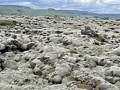 Ar sūnām klāti lavas lauki Rietumislandē