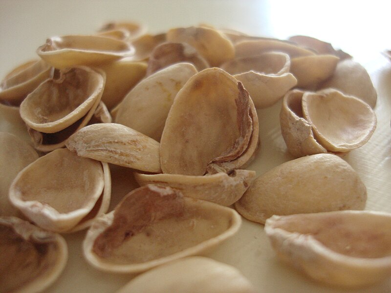 File:Pistachio shells.jpg