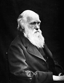 Photographie en noir et blanc d'un homme âgé habillé en costume de ville, chauve et portant une longue barbe blanche.