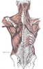 Lumbar triangle