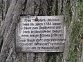 Deutsch: Gedenktafel an der Pfarrlinde English: Plaque at the Pfarrlinde