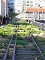 High Line Park