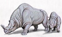 Megacerops