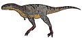 Aucasaurus