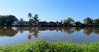 A view Kuttanad( Aleppey Dt. , Kerala ) backwaters from the Aleppey - Changanassery road.jpg