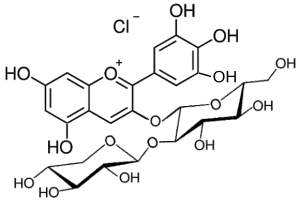 Strukturformel des Anthocyans Delphinidin-sambiosid