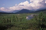 Forest, river and mountains