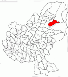 Location in Mureș County