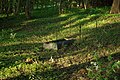 Evangelischer Friedhof in Kal (deutsch Kehlen) in der Gemeinde Węgorzewo (deutsch Angerburg)