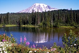 Mount Rainier i staten Washington