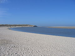 The Dunes of Texel National Park