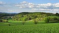 Wacholderberg und Schmiedsberg bei Dens