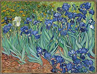 Vincent van Gogh, Irises, 1889