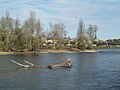 La Loire à Ousson