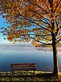 "Bench_by_the_lake_on_an_autumn's_day_(Unsplash).jpg" by User:Fæ