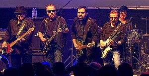 Blue Öyster Cult performing in 2017