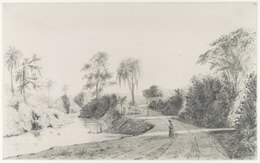 KITLV - 37A215 - Borret, Arnoldus - Path of Wanica - Pencil - 1881.tif