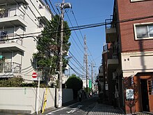 1954年7月、小倉から家族を呼び寄せ、練馬区関町1-131（現在は地番変更により関町南二丁目21番地）に転居。『断碑』『張込み』『顔』などを発表した。