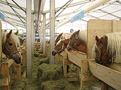 Oide Wiesn