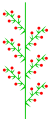 Racema composita homeothetica