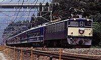 EF62 46＋12系 下り「さよなら碓氷峠号」