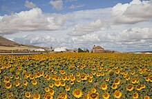 Iglesia de Nuestra Señora de La Blanca, Cardejón, España, 2012-09-01, DD 02.JPG