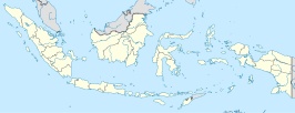 Agam (Indonesië)