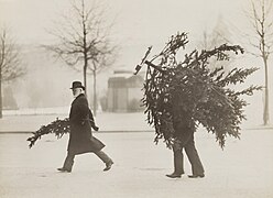 Philipp Kester, Weihnachten in Berlin – Transport eines Weihnachtsbaumes, 1907