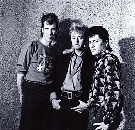 Stray Cats.