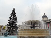 Trafalgar Square Christmas tree2.jpg