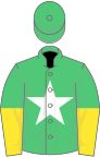 Emerald green, white star, yellow halved sleeves, emerald green cap