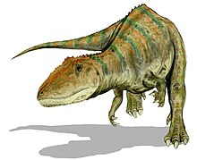 Carcharodontosaurus BW.jpg