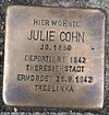 Stolperstein Emmerich Oelstraße 17 Julie Cohn