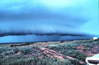 Storm winds