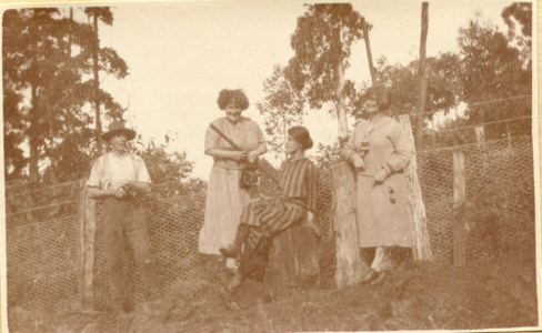 Pegg Clarke, Norah Gurdon, and Dora Wilson (and Brompton) at Kalorama, Private collection