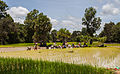 * Nomination Paddy field, Angkor, Cambodia --Poco a poco 10:41, 21 December 2013 (UTC) * Promotion Good quality. --Alberto-g-rovi 07:00, 22 December 2013 (UTC)