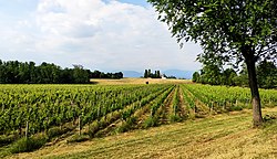 Skyline of Capriano del Colle