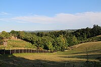 Miličinica - Panorama