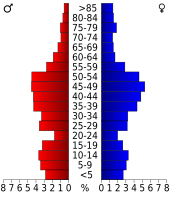 Bevolkingspiramide Falls Church