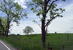 A pasture in Bethel Township