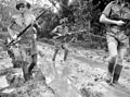 Image 42Australian troops at Milne Bay (from Military history of Australia during World War II)